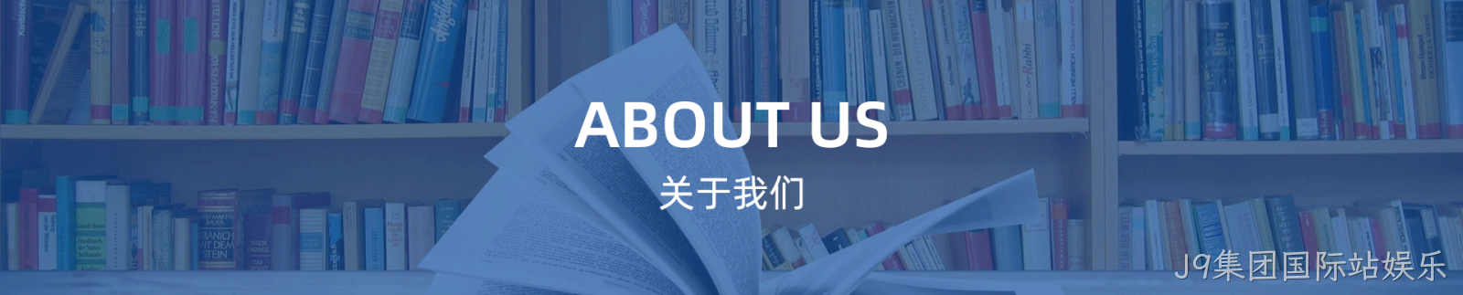 这是描述信息